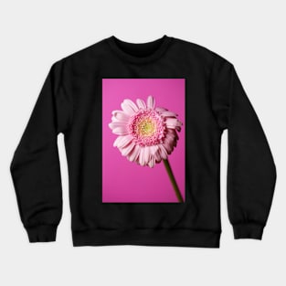 Pink flower on a pink background Crewneck Sweatshirt